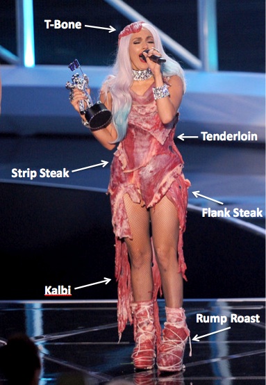 was lady gaga meat dress real. Lady Gaga talented…weird…likes